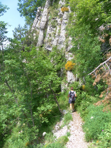 Foto: Wolfgang Lauschensky / Wandertour / Monte Amariana 1905m Südanstieg / Abstieg entlang der Felsbänder / 03.07.2014 18:43:24