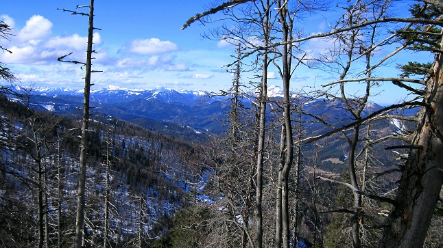Foto: Andreas Koller / Schneeschuhtour / Über den Normalweg auf den Göller (1766m) / 03.07.2014 23:52:48