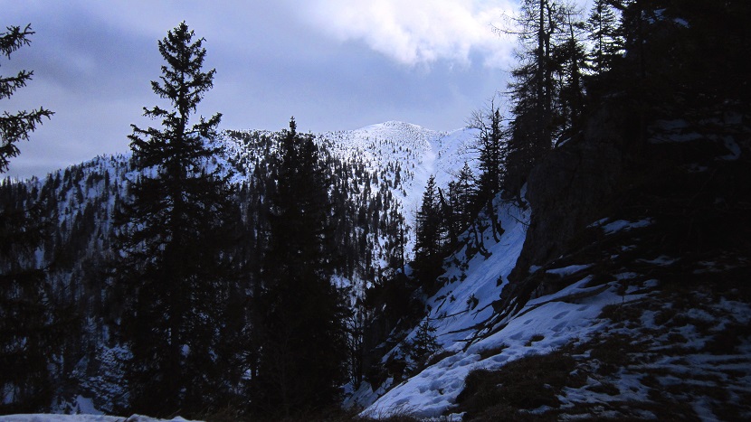 Foto: Andreas Koller / Schneeschuhtour / Über den Normalweg auf den Göller (1766m) / Göllerblick / 03.07.2014 23:52:40