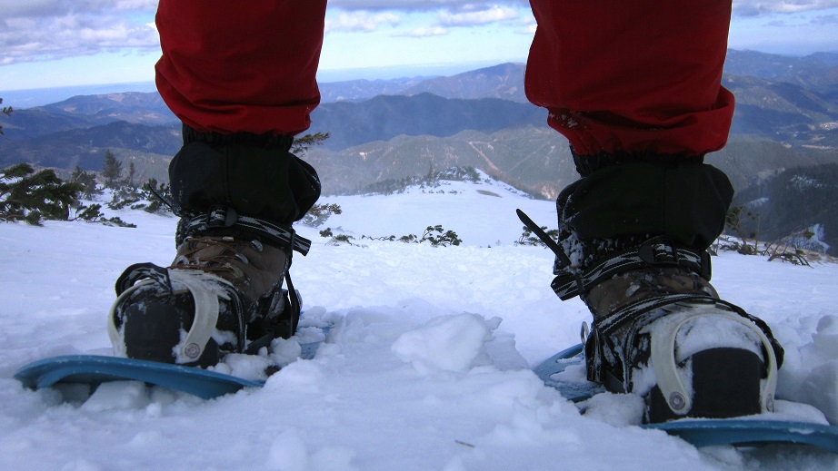 Foto: Andreas Koller / Schneeschuhtour / Über den Normalweg auf den Göller (1766m) / 03.07.2014 23:50:39