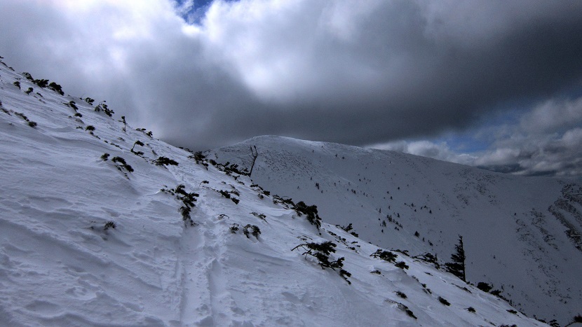 Foto: Andreas Koller / Schneeschuhtour / Über den Normalweg auf den Göller (1766m) / 03.07.2014 23:50:16