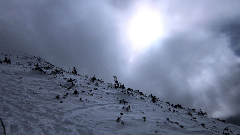 Foto: Andreas Koller / Schneeschuhtour / Über den Normalweg auf den Göller (1766m) / 03.07.2014 23:50:10
