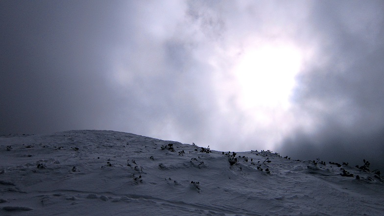 Foto: Andreas Koller / Schneeschuhtour / Über den Normalweg auf den Göller (1766m) / 03.07.2014 23:49:37