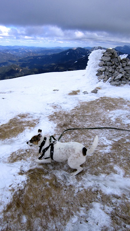 Foto: Andreas Koller / Schneeschuhtour / Über den Normalweg auf den Göller (1766m) / 03.07.2014 23:48:28