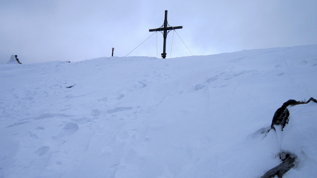 Foto: Andreas Koller / Schneeschuhtour / Über den Normalweg auf den Göller (1766m) / Abstieg vom Göller / 03.07.2014 23:48:21