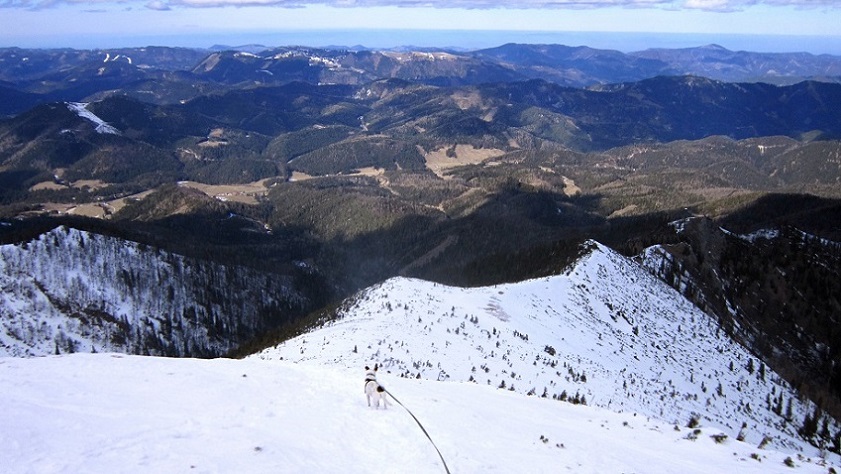 Foto: Andreas Koller / Schneeschuhtour / Über den Normalweg auf den Göller (1766m) / Tiefblick auf den Grat / 03.07.2014 23:47:55