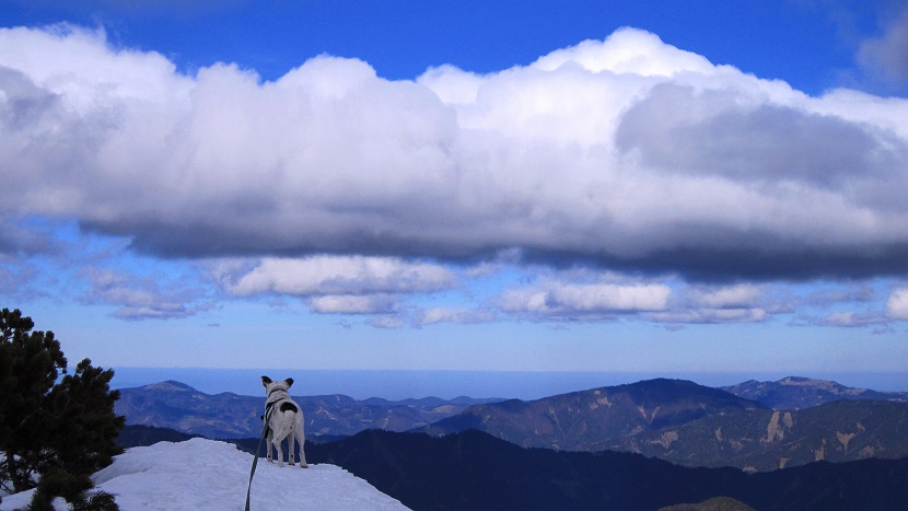 Foto: Andreas Koller / Schneeschuhtour / Über den Normalweg auf den Göller (1766m) / 03.07.2014 23:47:20