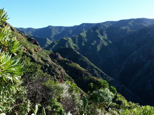 Foto: Walter Ruttinger / Wandertour / Teneriffa Norte: Chinamada-Trail / Anaga-Gebirge im Süden / 18.07.2014 18:05:31