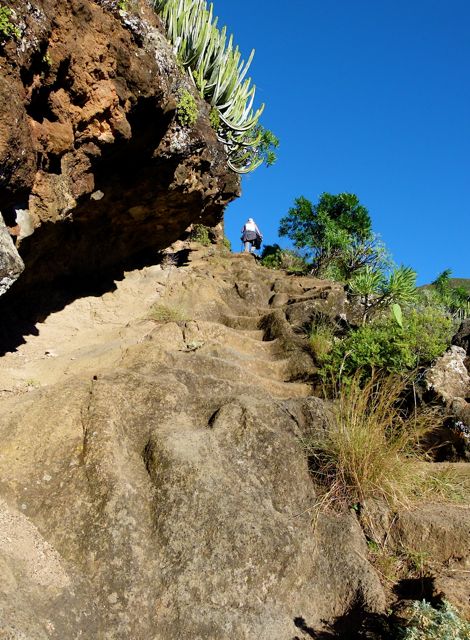 Foto: Walter Ruttinger / Wandertour / Teneriffa Norte: Chinamada-Trail / 18.07.2014 17:59:31