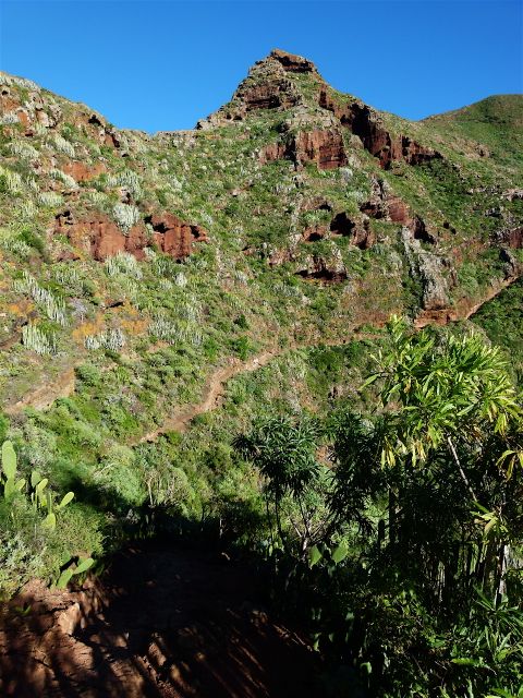 Foto: Walter Ruttinger / Wandertour / Teneriffa Norte: Chinamada-Trail / 18.07.2014 17:59:57