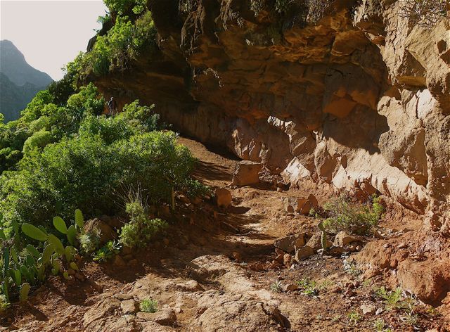 Foto: Walter Ruttinger / Wandertour / Teneriffa Norte: Chinamada-Trail / Halbtunnel- Steinschlaggefahr / 18.07.2014 17:57:49