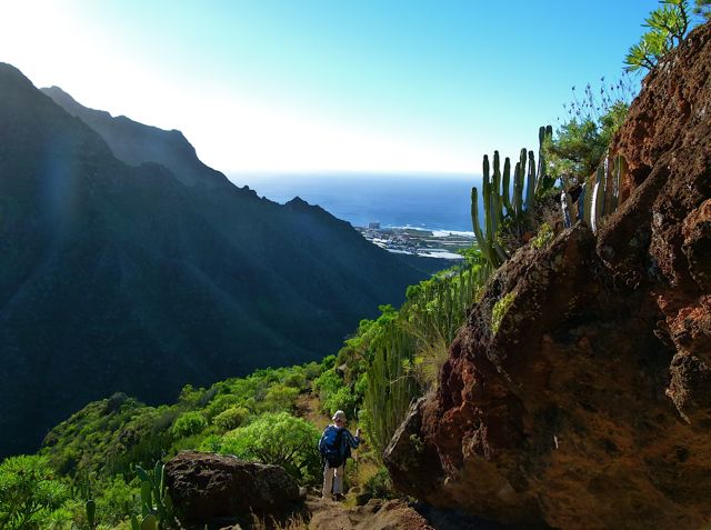 Foto: Walter Ruttinger / Wandertour / Teneriffa Norte: Chinamada-Trail / Abstieg nach Pta Hidalgo (am Meer sichtbar) / 18.07.2014 17:58:51