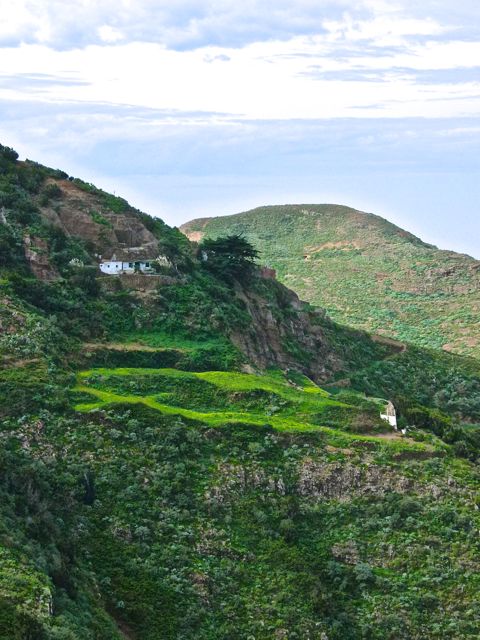 Foto: Walter Ruttinger / Wandertour / Teneriffa Norte: Chinamada-Trail / 13.12.2015 11:24:36