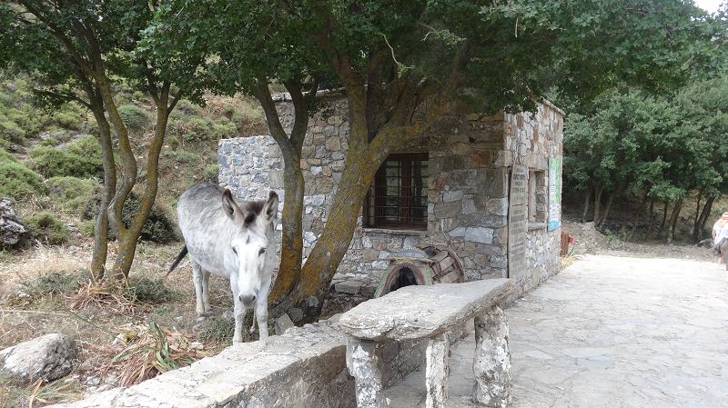 Foto: Datzi / Wandertour / Imbros Schlucht / Das kleine Steinhaus wo der Eintritt kassiertz wird / 21.07.2014 20:21:23