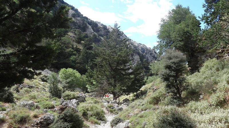 Foto: Datzi / Wandertour / Imbros Schlucht / 21.07.2014 20:22:18