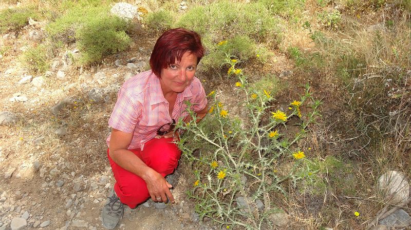 Foto: Datzi / Wandertour / Imbros Schlucht / Ich habe das Bild lange bedrachtet aber ich finde keine Unterschied von meiner Frau zu der Blume / 21.07.2014 20:22:39