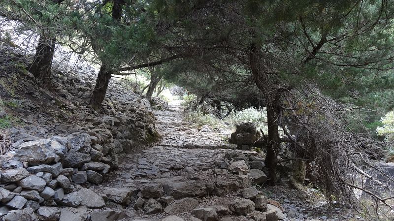 Foto: Datzi / Wandertour / Imbros Schlucht / Der Maultierpfad / 21.07.2014 20:23:00