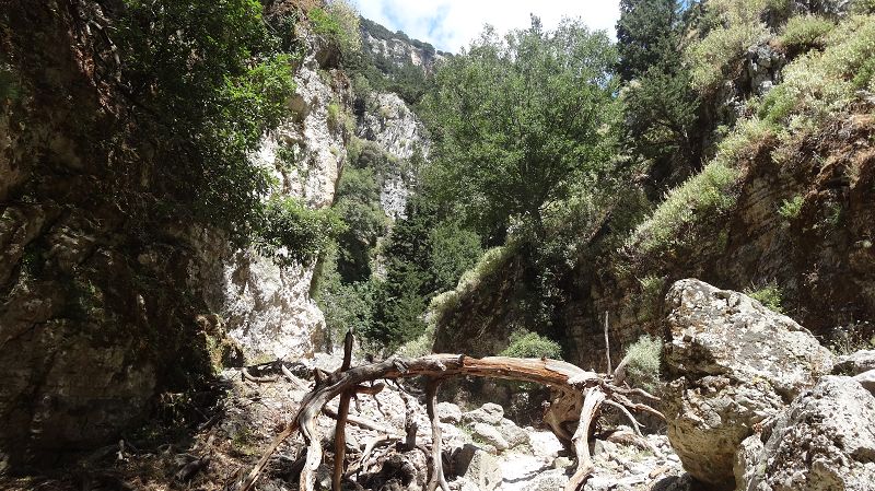Foto: Datzi / Wandertour / Imbros Schlucht / 21.07.2014 20:30:35