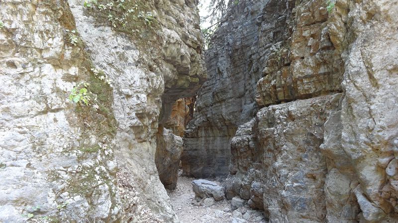 Foto: Datzi / Wandertour / Imbros Schlucht / Eindrucksvolle Schlucht / 21.07.2014 20:30:52