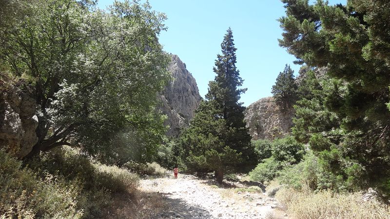 Foto: Datzi / Wandertour / Imbros Schlucht / 21.07.2014 20:34:41