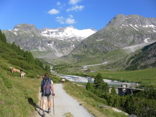 Foto: Wolfgang Lauschensky / Wandertour / Schönbichler Horn 3134m von der Alpenrose / Waxeggalm / 22.07.2014 21:47:00