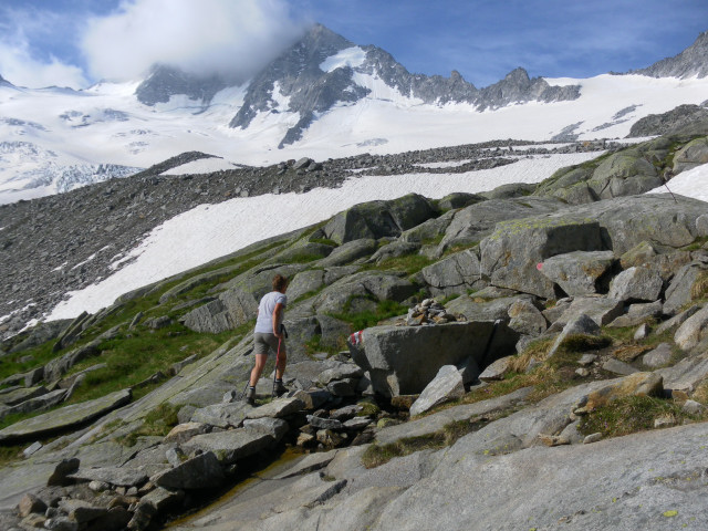 Foto: Wolfgang Lauschensky / Wandertour / Schönbichler Horn 3134m von der Alpenrose / Garberkar vor Möseler / 22.07.2014 21:45:11