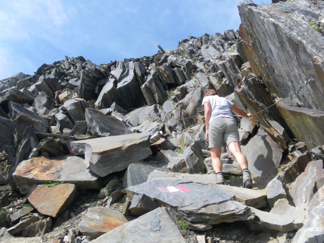 Foto: Wolfgang Lauschensky / Wandertour / Schönbichler Horn 3134m von der Alpenrose / Querung in die Südscharte / 22.07.2014 21:43:41