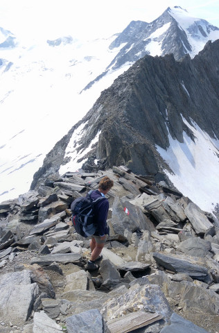 Foto: Wolfgang Lauschensky / Wandertour / Schönbichler Horn 3134m von der Alpenrose / Abstieg in die Südscharte vor Furtschaglspitze und Großem Möseler / 22.07.2014 21:43:16