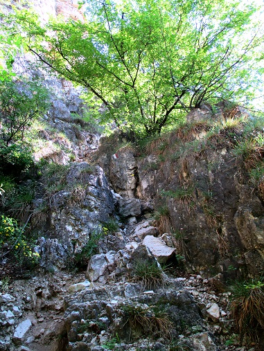 Foto: Andreas Koller / Klettersteigtour / Klettersteig Fennberg (1125m) / Zustieg durch eine Rinne (I) / 22.07.2014 23:17:38