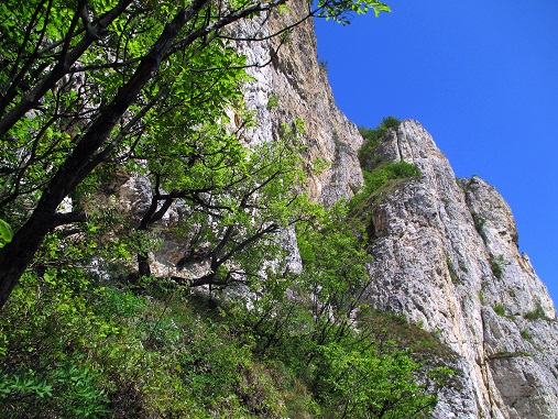 Foto: Andreas Koller / Klettersteigtour / Klettersteig Fennberg (1125m) / 22.07.2014 23:11:20