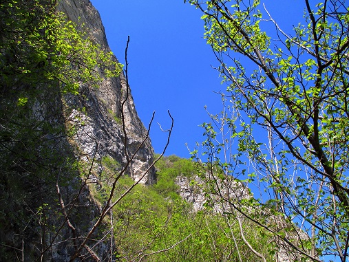 Foto: Andreas Koller / Klettersteigtour / Klettersteig Fennberg (1125m) / 22.07.2014 23:09:05