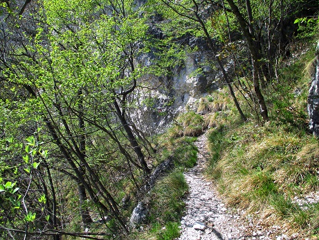 Foto: Andreas Koller / Klettersteigtour / Klettersteig Fennberg (1125m) / 22.07.2014 23:08:57