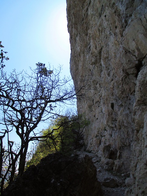 Foto: Andreas Koller / Klettersteigtour / Klettersteig Fennberg (1125m) / 22.07.2014 23:08:42