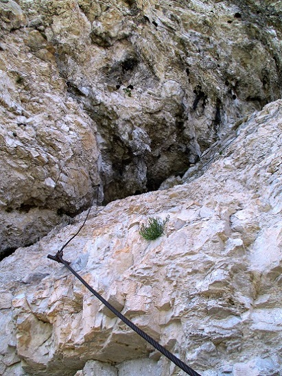 Foto: Andreas Koller / Klettersteigtour / Klettersteig Fennberg (1125m) / 22.07.2014 23:08:03