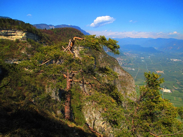 Foto: Andreas Koller / Klettersteigtour / Klettersteig Fennberg (1125m) / 22.07.2014 23:06:26
