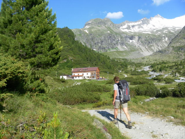 Foto: Wolfgang Lauschensky / Klettertour / Zsigmondyspitze oder Feldkopf (3089m) Normalweg / Alpenrose auf der Waxeggalm / 23.07.2014 21:44:10