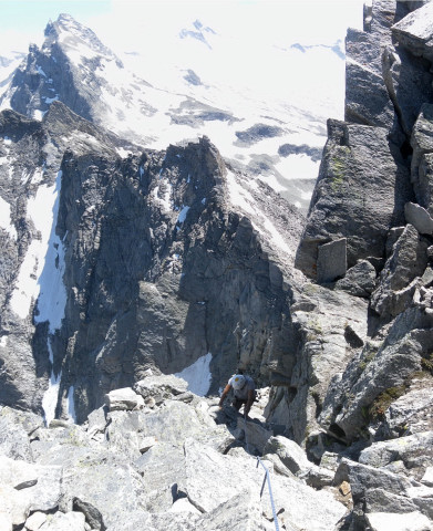 Foto: Wolfgang Lauschensky / Klettertour / Zsigmondyspitze oder Feldkopf (3089m) Normalweg / Anstieg östlich des senkrechten Gipfelfelses / 23.07.2014 21:39:53
