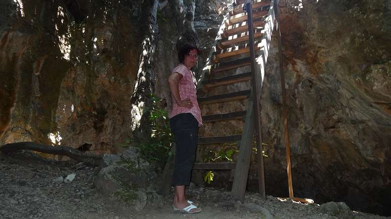 Foto: Datzi / Wandertour / Leichter Rundweg zur Vreiko Hölle / Der Eingang der Vreiko Höhle (Durch den Hölleneingang wächst ein Feigenbaum) / 03.08.2014 17:23:27