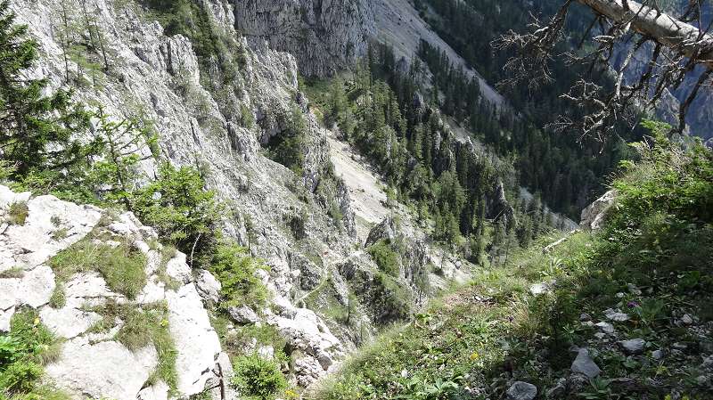 Foto: Datzi / Wandertour / Atemberaubendes Bergerlebnis auf der Riegerin / Der ausgesetzte Steig / 15.08.2014 08:55:58