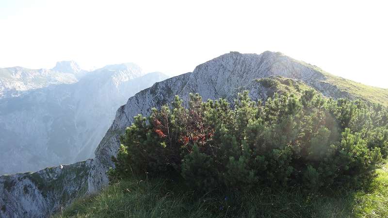 Foto: Datzi / Wandertour / Atemberaubendes Bergerlebnis auf der Riegerin / Der Grat der Abgestiegen werden muss. (Hier wäre ein Anstieg eigentlich leichter) / 15.08.2014 08:57:04