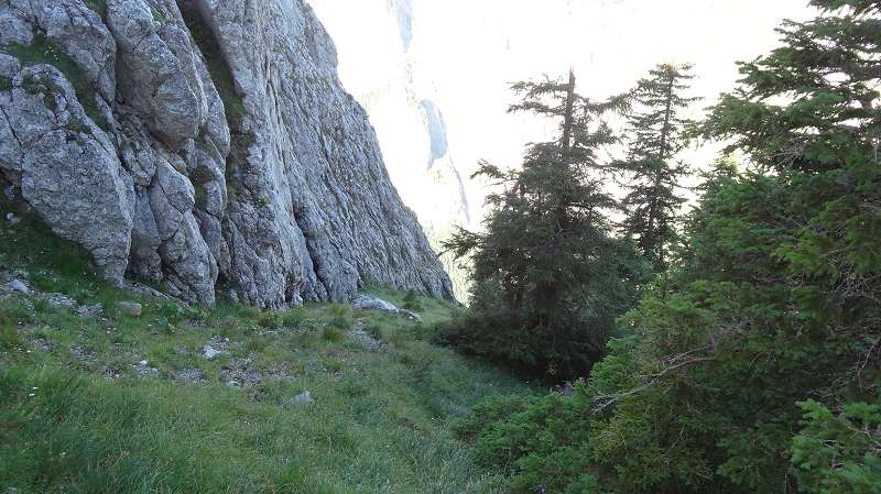 Foto: Datzi / Wandertour / Atemberaubendes Bergerlebnis auf der Riegerin / Der Mögliche Abstieg (mit Vorbehalt) zum Turm (Rechts davon ein Waldgelände aber steil) / 15.08.2014 08:58:59