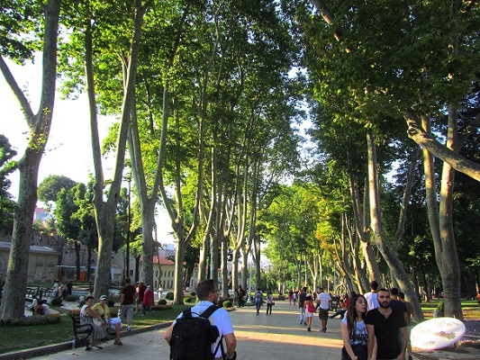 Foto: Andreas Koller / Wandertour / Altstadtrunde am Goldenen Horn (20m) / 01.09.2014 00:31:04