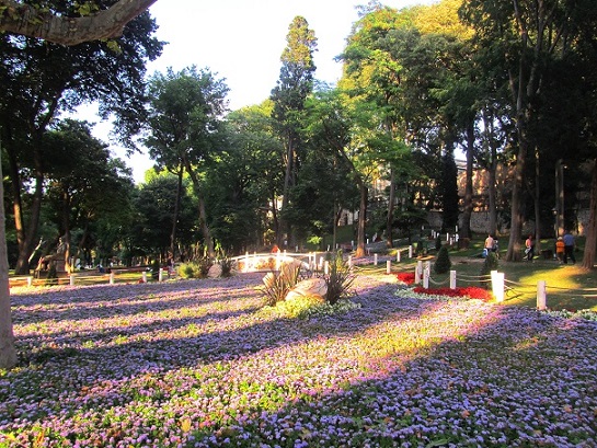 Foto: Andreas Koller / Wandertour / Altstadtrunde am Goldenen Horn (20m) / 01.09.2014 00:30:56