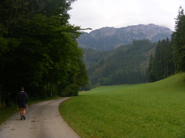 Foto: Wolfgang Lauschensky / Wandertour / Gippel über Gippelmauer und Treibsteig / Gippel - Nordflanke / 09.09.2014 23:04:19