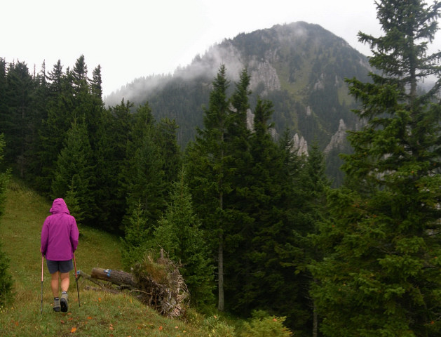 Foto: Wolfgang Lauschensky / Wandertour / Gippel über Gippelmauer und Treibsteig / Querung zum Preinecksattel und Schwarzauer Gippel - Ostflanke / 09.09.2014 23:03:56