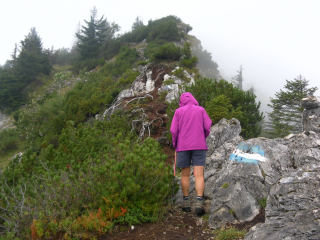 Foto: Wolfgang Lauschensky / Wandertour / Gippel über Gippelmauer und Treibsteig / unter dem Gipfel des Schwarzauer Gippels / 09.09.2014 23:03:31