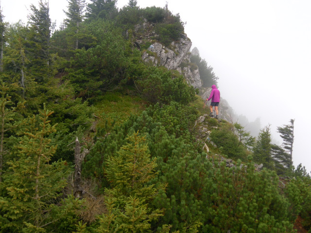 Foto: Wolfgang Lauschensky / Wandertour / Gippel über Gippelmauer und Treibsteig / an der Abbruchskante der Gippelmauer / 09.09.2014 23:02:50