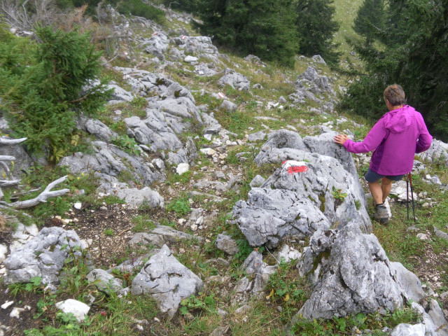Foto: Wolfgang Lauschensky / Wandertour / Gippel über Gippelmauer und Treibsteig / Abstieg zum Gippeltörl / 09.09.2014 23:01:32