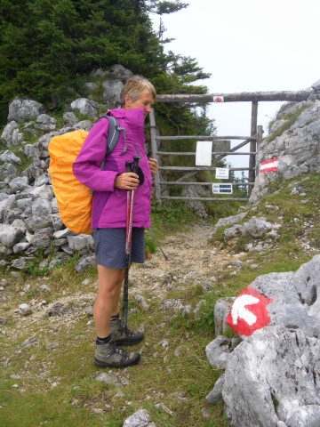 Foto: Wolfgang Lauschensky / Wandertour / Gippel über Gippelmauer und Treibsteig / Gippeltörl und Einstieg in den Treibsteig / 09.09.2014 22:59:22