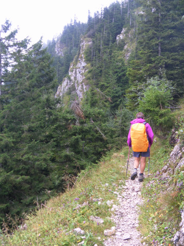 Foto: Wolfgang Lauschensky / Wandertour / Gippel über Gippelmauer und Treibsteig / Treibsteig / 09.09.2014 22:59:10